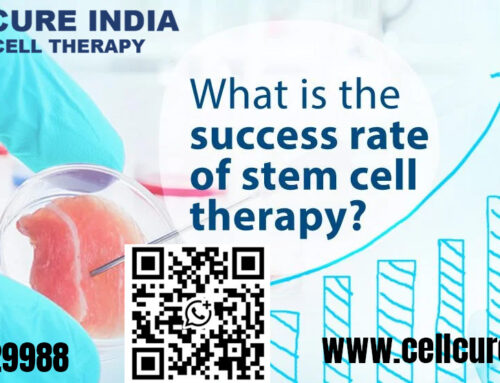 What Is The Success Rate Of Stem Cell Therapy In India?